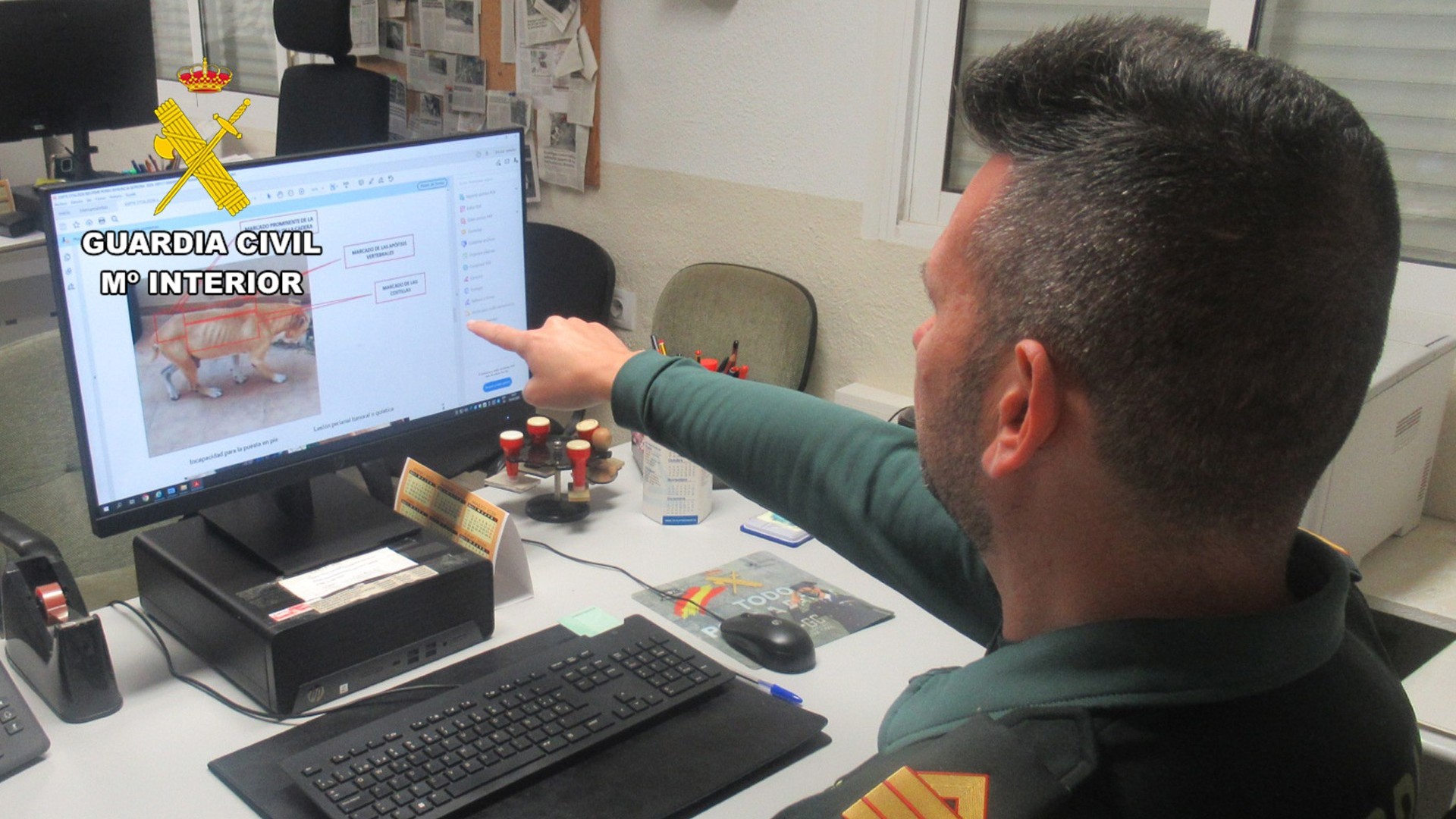 20260328 GC MALTRATO ANIMAL 2 B.jpg